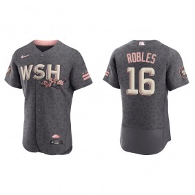 Men's Washington Nationals Victor Robles Gray City Connect Authentic Jersey